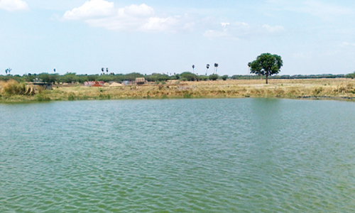 14 கிராமங்களில் குளங்கள் அமைப்பு