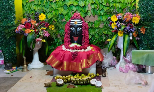 வெள்ளை முனிசாமி கோவிலில் பொங்கல் விழா