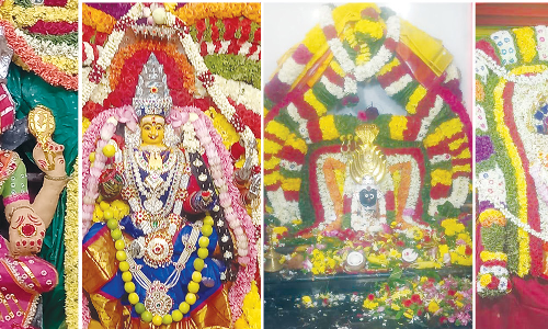 திருப்பத்தூரில் 50 அம்மன் கோவில்களில் திருவிழா