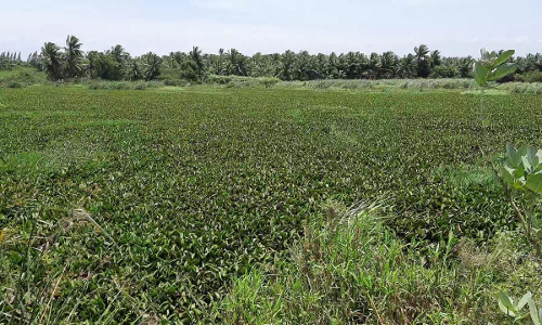 நொய்யல் ஆற்றில் வெள்ளம்-சூலூரில் நிரம்பதா குளங்கள்