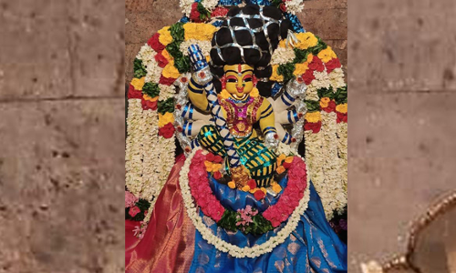 பரமத்திவேலூர் செல்லாண்டி அம்மனுக்கு ஆடி தவசு விழா