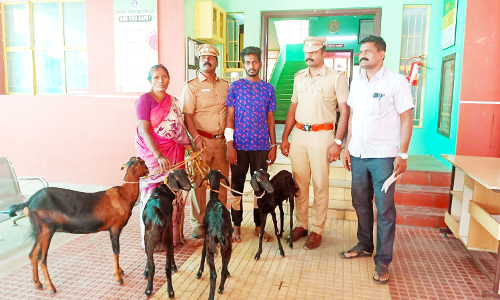 சோளிங்கர் அருகே ஆடு திருடிய வாலிபர் கைது