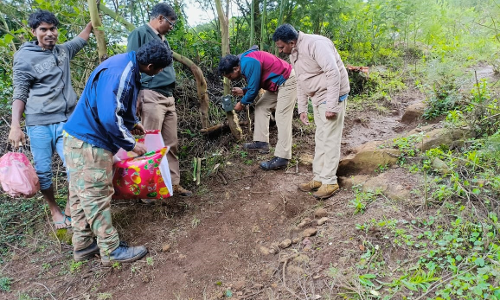 சிறுத்தை நடமாட்டத்தை கண்காணிக்க 2 இடங்களில் காமிராக்கள் பொருத்தம்