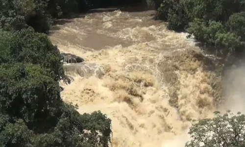 எம்.ஜி.ஆர். அருவியில் காட்டாற்று வெள்ளம்