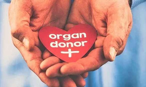 விபத்தில் மூளைச்சாவு- தொழிலாளியின் உடல் உறுப்புகள் தானம்