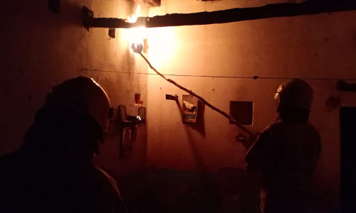 மங்கலம்பேட்டை அருகே மூதாட்டியை தாக்கிய விஷ வண்டுகள் அழிப்பு