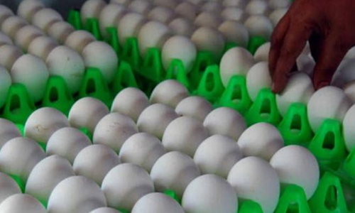 நாமக்கல்லில் முட்டை விலை 10 காசு உயர்வு