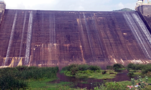 கடையநல்லூர் அடவிநயினார் அணை  நிரம்பியது