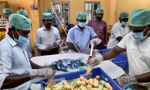 மூவர்ணத்தில் பாண்லே குல்பி விற்பனை