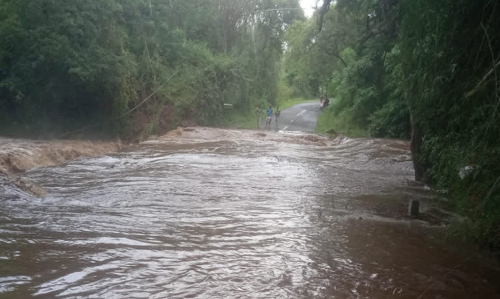 மாயாற்று வெள்ளத்தில் மூழ்கிய தரைப்பாலம்-தவிக்கும் தெப்பக்காடு மக்கள்