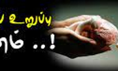 விபத்தில் மரணமடைந்த இந்திய கம்யூனிஸ்டு கட்சி பிரமுகரின் உடல் உறுப்புகள் தானம்