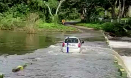 5 நாட்களுக்கு பிறகு தெப்பக்காடு தரைப்பாலத்தில் போக்குவரத்து தொடங்கியது