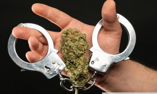 போடியில் கஞ்சா வியாபாரி கைது