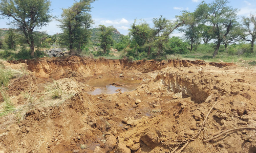 கள்ளக்குறிச்சி அருகே  மலைக்கோட்டாலம் ஏரியில் மண் கொள்ளை