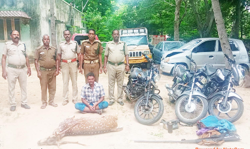 ராணிப்பேட்டை அம்மூர் காப்புக்காட்டில் மான் வேட்டை
