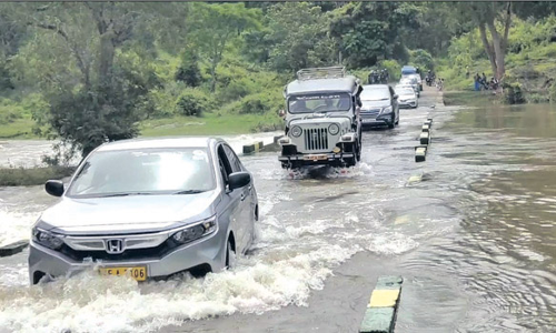 மாயாற்றில் தண்ணீர் வரத்து குறைந்ததும் தெப்பக்காடு பாலம் கட்டுமான பணி தொடங்கும்