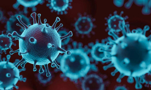 ஈரோட்டில் கொரோனா பாதிப்புக்கு 337 பேர் சிகிச்சை