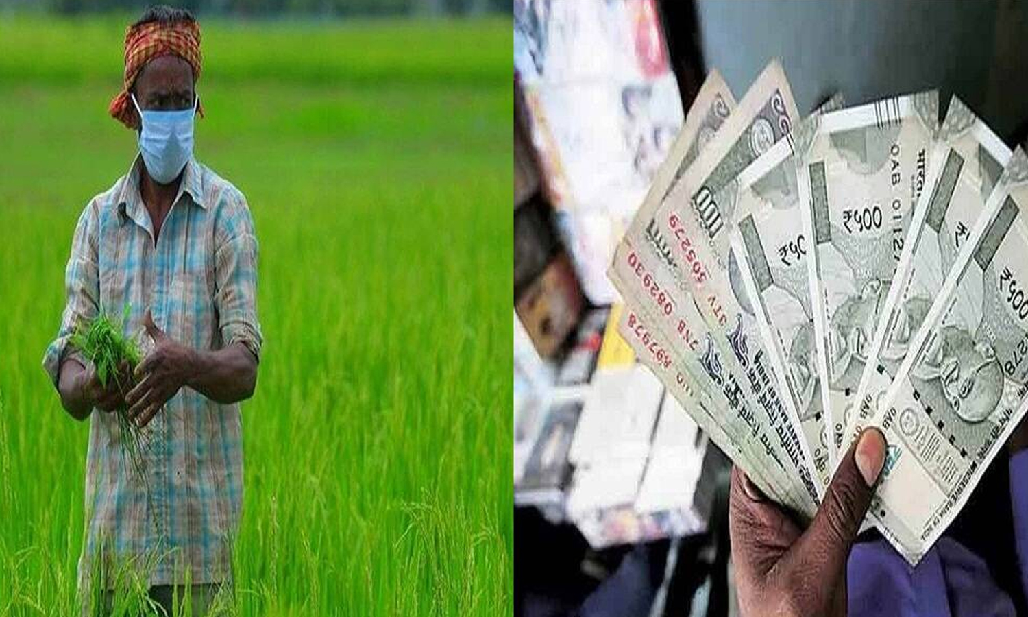 பிரதம மந்திரி கிசான் திட்டத்தின் கீழ்  விவசாயிகள் ஊக்கத்தொகை பெற  ஆதார் விவரங்களை பதிவு செய்ய வேண்டும்- ஓட்டபிடாரம் வட்டார வேளாண் அதிகாரி தகவல்