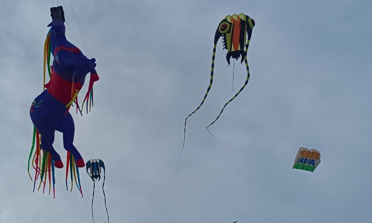 3 நாட்கள் நடந்த பட்டம் விடும் திருவிழாவை 40 ஆயிரம் பேர் ரசித்தனர் 3 நாட்கள் நடந்த பட்டம் விடும் திருவிழாவை 40 ஆயிரம் பேர் ரசித்தனர்