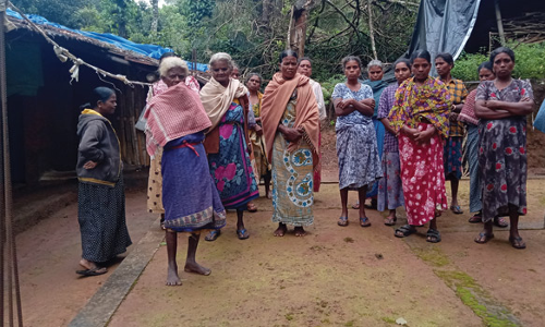 கூடலூர் அருகே கூரை, ஓட்டு வீடுகளில் வசிக்கும் பழங்குடியின மக்கள்