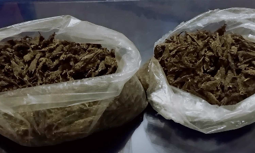 போடி அருகே கஞ்சா விற்ற 9 பேர் கைது