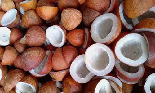 வெள்ளக்கோவில் ஒழுங்குமுறை விற்பனைக்கூடத்தில் ரூ. 54 லட்சத்துக்கு கொப்பரை விற்பனை