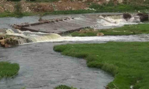 நொய்யல் ஆற்றில் இருந்து 15 டி.எம்.சி., தண்ணீர் வீணாக காவிரி ஆற்றில் கலப்பு