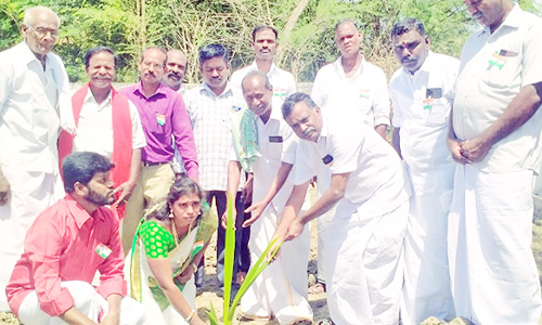 மரக்கன்று நடும் விழா