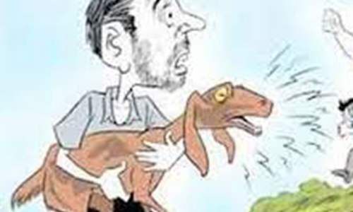 கிடையில் அடைக்கப்பட்ட 34 ஆடுகள் திருட்டு