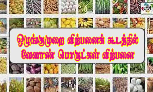 சாலைப்புதூர் ஒழுங்குமுறை விற்பனை கூடத்தில்  ரூ.34.16 லட்சத்துக்கு தேங்காய், நிலக்கடலை ஏலம்
