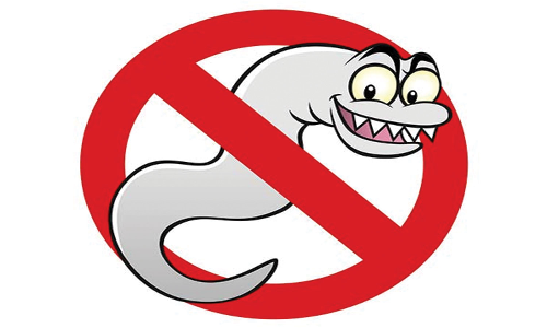 ஓட்டல் காடைகறியில் புழு?