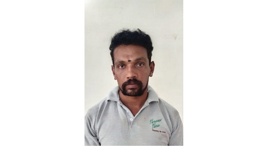 ஊட்டியில்  அவுட்டு காய் வெடித்து பசு  பலி; தொழிலாளி கைது