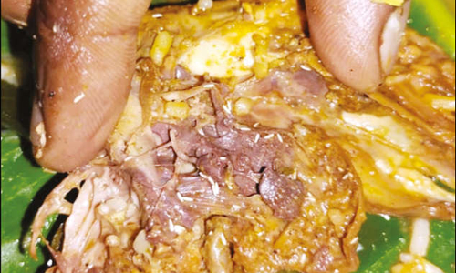 ஆரணி அசைவ ஓட்டலில் காடை வறுவலில் புழுக்கள் நெளிந்ததால் வாடிக்கையாளர் அதிர்ச்சி