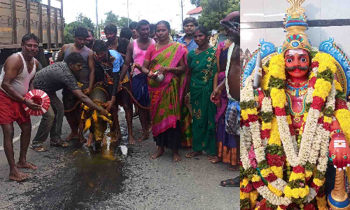 பல்லடம் முனீஸ்வரர் கோவில் விழாவில் 150 பன்றிகளை பலியிட்டு பக்தர்கள் வழிபாடு