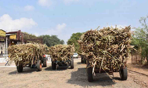 உடுமலை அமராவதி சர்க்கரை ஆலை விவசாயிகளுக்கு கரும்புக்கான தொகை வழங்க ரூ. 15.75 கோடி ஒதுக்கீடு