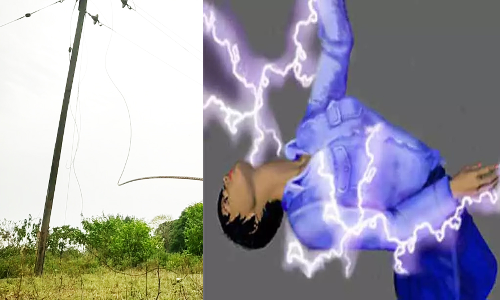 மின்சாரம் தாக்கி தொழிலாளி சாவு