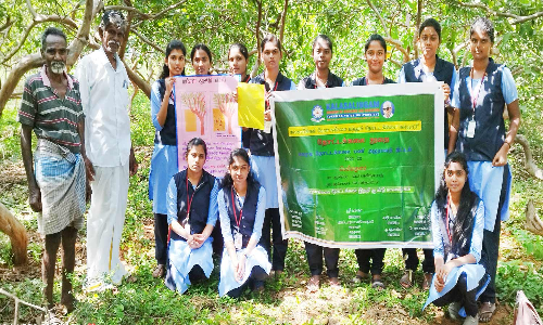 பெரியகுளம் அருகே வேளாண் கல்லூரி மாணவிகள் விவசாய தோட்டத்தில் பயிற்சி