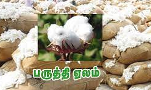 948 பருத்தி மூட்டைகள் ரூ.35 லட்சத்திற்கு ஏலம்