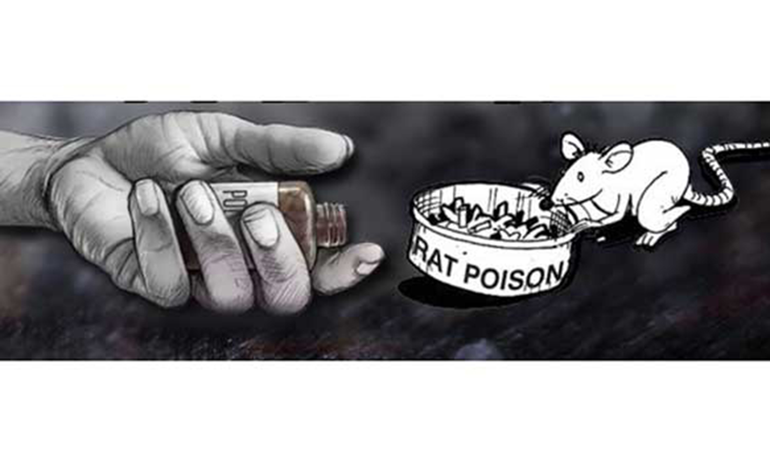 முதியவர் எலி மருந்து தின்று தற்கொலை