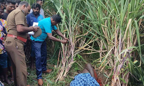 பண்ருட்டி அருகே ரேசன் கடை ஊழியர் கழுத்தை அறுத்து கொலை