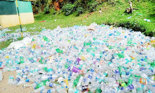 கொடைக்கானல் மோயர் பாயிண்ட்டில் மலைபோல் குவிந்துள்ள பிளாஸ்டிக் பாட்டில்கள்