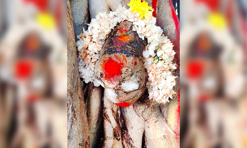 செம்பட்டி அருகே ஆலமரத்தில் தெரிந்த மாரியம்மன் உருவம்  பக்தர்கள் சூடம் ஏற்றி வழிபாடு