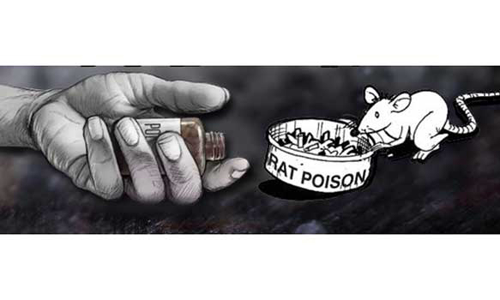 முதியவர் எலி மருந்து தின்று தற்கொலை