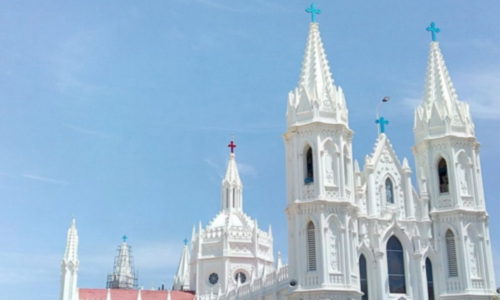 மாதா கோவில் திருவிழா- சென்னையில் இருந்து வேளாங்கன்னிக்கு சிறப்பு பஸ்கள்