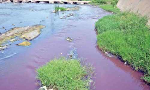 சாயக்கழிவுநீர் திறந்துவிடப்பட்டால் பொதுமக்கள் புகார் தெரிவிக்கலாம் - அதிகாரி அறிவிப்பு