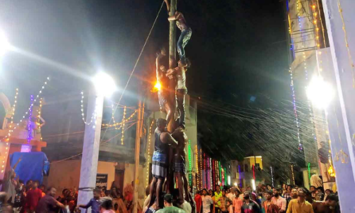 செங்கோட்டையில்  வழுக்கு மர போட்டி