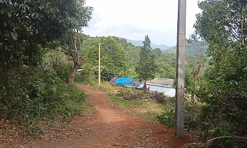 கோத்தகிரி அருகே பழங்குடியின கிராமத்திற்கு முதல் முறையாக  மின்சார வசதி