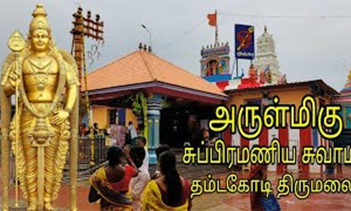 தம்டகோடி மலையில் ரத உற்சவம்