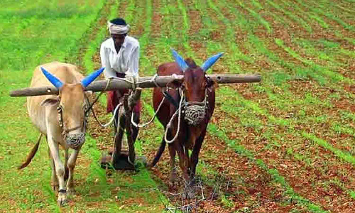 விவசாயிகள் ஊக்கத்தொகை பெற ஆதார் ஆவணங்களை 31-ந்தேதிக்குள் பதிவு செய்ய வேண்டுகோள்