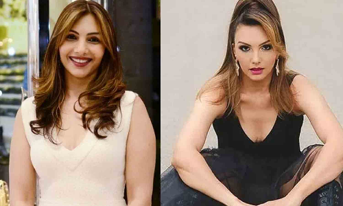 சல்மான் கான் பெண்களை கொடூரமாக அடிப்பவர்.. முன்னாள் காதலி பரபரப்பு குற்றச்சாட்டு